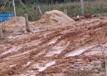 Abandono e Lama: Moradores da Rua Cerâmica em Tarauacá Clamam por Socorro
