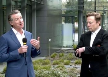 ‘Se tem útero, é mulher. Caso contrário, não’, diz Elon Musk