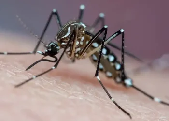Com menos de mil casos confirmados, Acre registra queda de mais de 80% na dengue em 2026