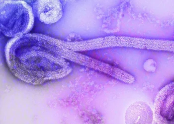 Ebola: Congo inicia testes de tratamentos contra variante Bundibugyo