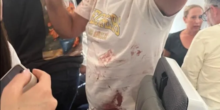 Avião com piloto esfaqueado teve queda abrupta de mais de 4,3 mil metros