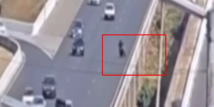 Câmera flagra pai e filho caindo no Lago Paranoá após bater em ponte do DF. Veja vídeo