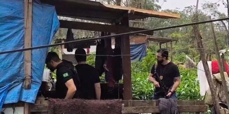 Menina de 2 anos é morta a golpes de martelo pelo irmão enquanto brincava Menina de 2 anos é morta a golpes de martelo pelo irmão enquanto brincava