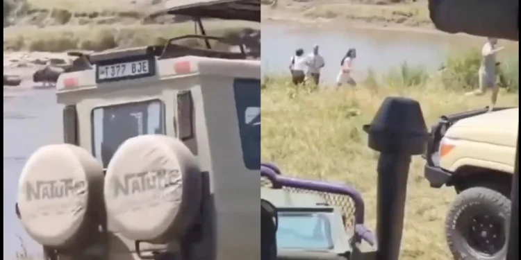 Carro com turistas cai em rio infestado de jacarés na Tanzânia. Veja vídeo