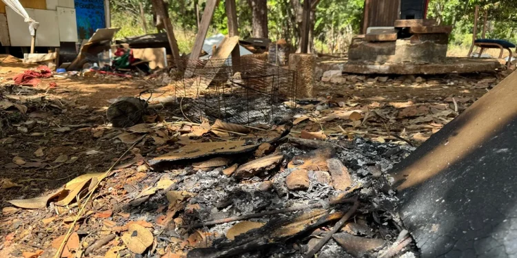 Mulher é encontrada nua, esfaqueada e com corpo carbonizado em mata