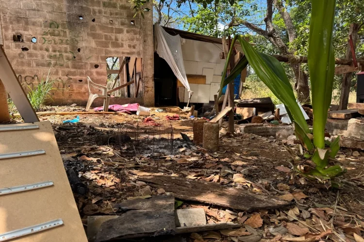 Mulher é encontrada nua, esfaqueada e com corpo carbonizado em mata