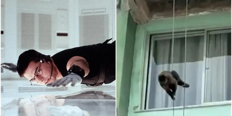 “Missão Impossível”: macaquinho é flagrado ao fazer rapel em prédio do Rio. Vídeo