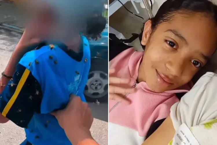 Menina atacada por abelhas reencontra motoboy que a salvou. Veja vídeo