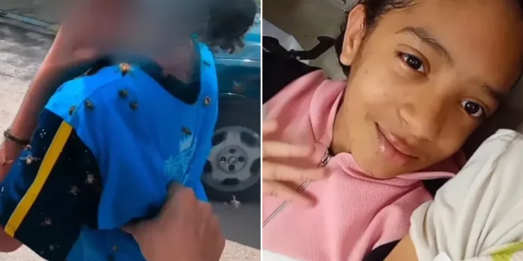 Safira, menina atacada por abelhas, tem alta hospitalar