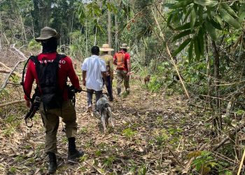 Bombeiros usam cães farejadores em busca por bebê de 9 meses sequestrada pelo tio no AC