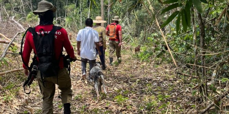 Bombeiros usam cães farejadores em busca por bebê de 9 meses sequestrada pelo tio no AC