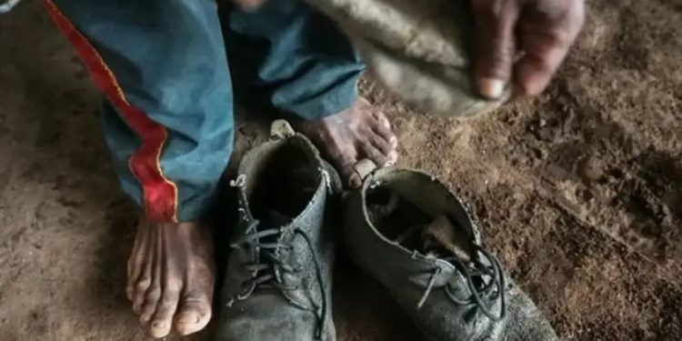 Trabalhador é resgatado de condição análoga à escravidão após um ano em fazenda de gado no Acre