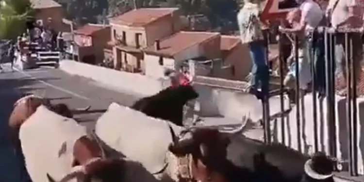 Mulher de 64 anos morre após ser atacada por touro na Espanha. Veja vídeo