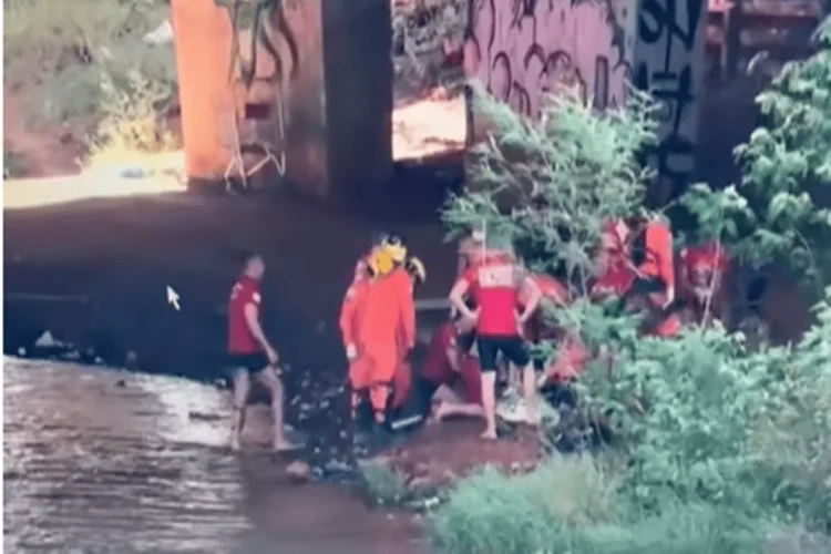 Câmera flagra pai e filho caindo no Lago Paranoá após bater em ponte do DF. Veja vídeo