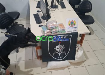 Com apoio do cão farejador Pantro, BOPE intercepta mais de 7 kg de skank em transportadora da Capital