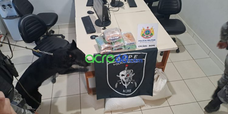 Com apoio do cão farejador Pantro, BOPE intercepta mais de 7 kg de skank em transportadora da Capital