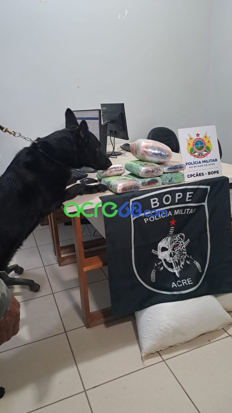 Com apoio do cão farejador Pantro, BOPE intercepta mais de 7 kg de skank em transportadora da Capital