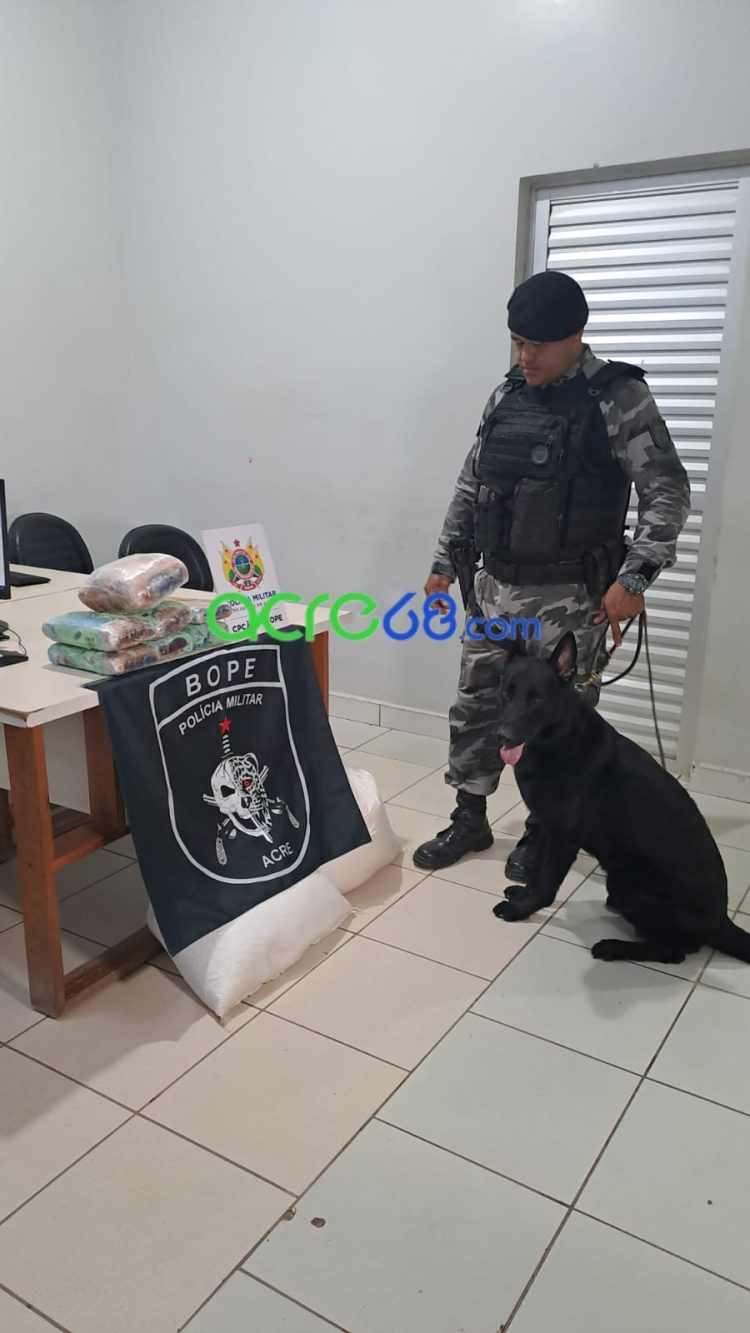 Com apoio do cão farejador Pantro, BOPE intercepta mais de 7 kg de skank em transportadora da Capital