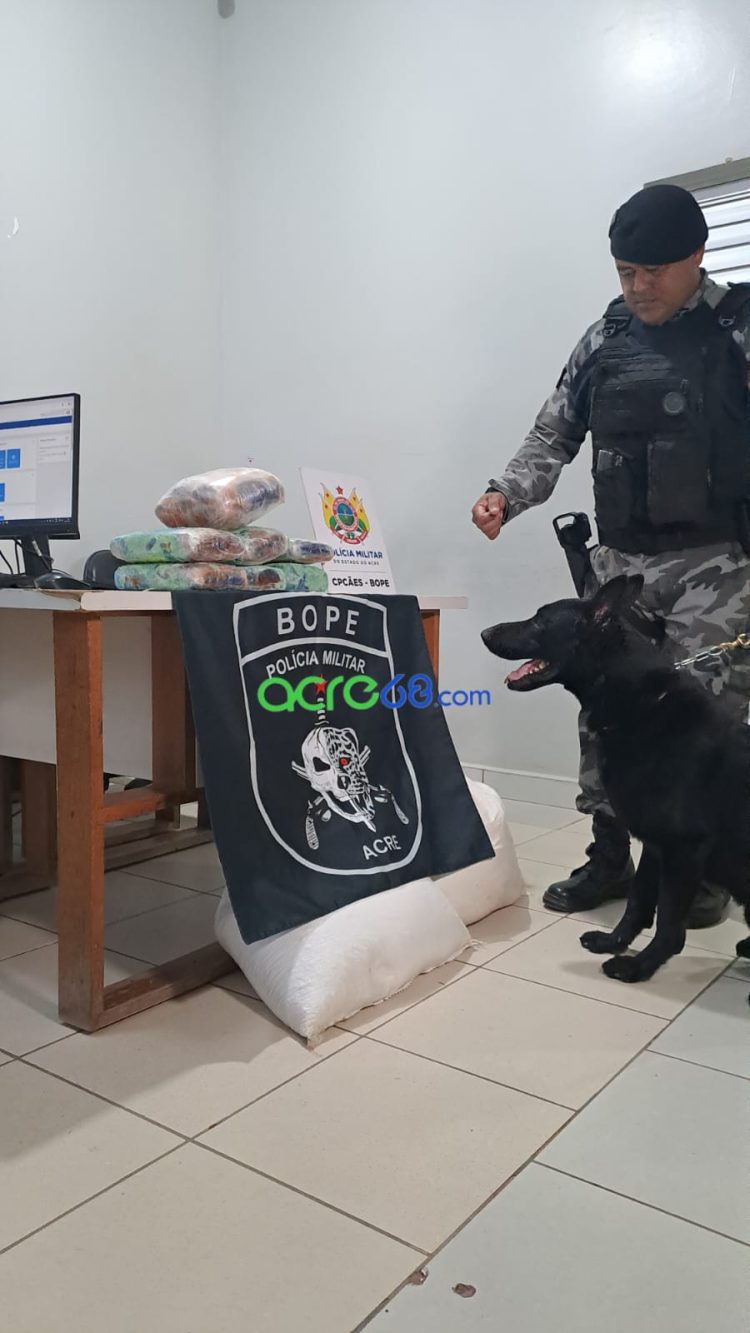 Com apoio do cão farejador Pantro, BOPE intercepta mais de 7 kg de skank em transportadora da Capital