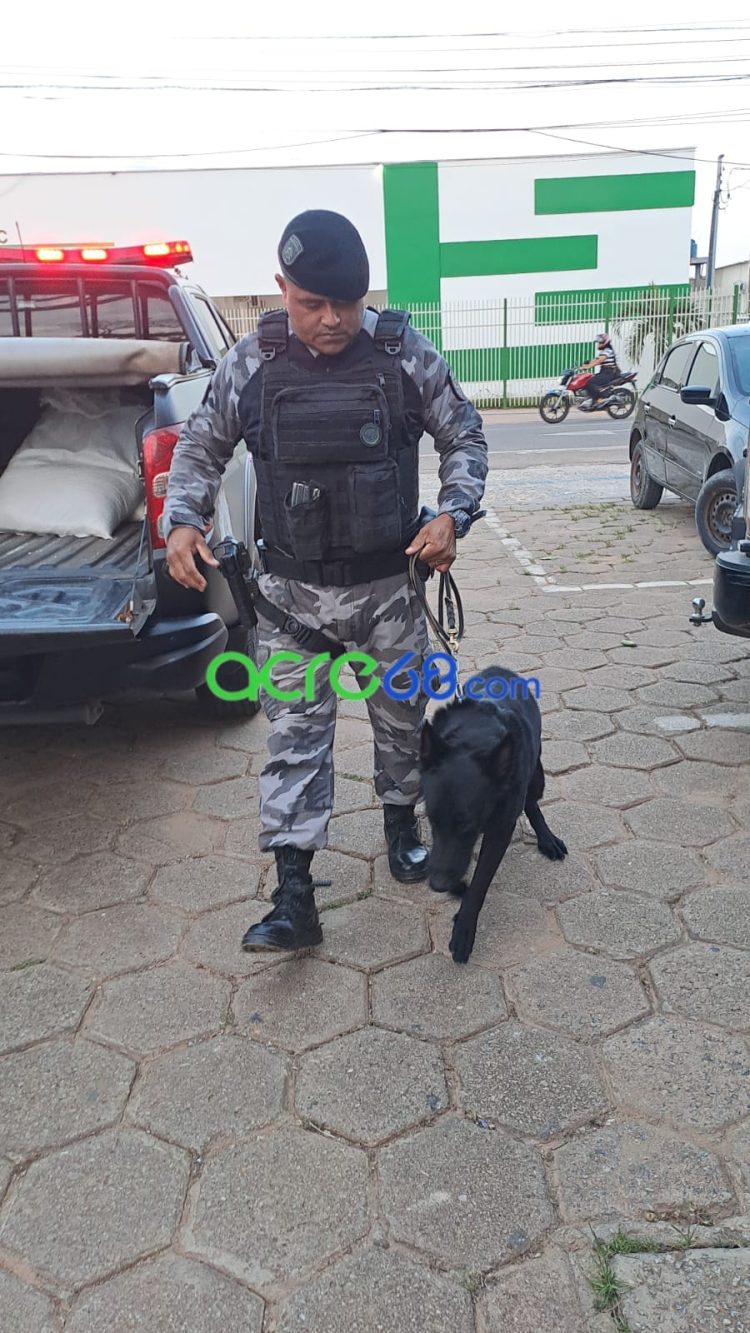 Com apoio do cão farejador Pantro, BOPE intercepta mais de 7 kg de skank em transportadora da Capital