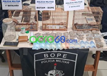 Dupla é presa com skank, dinheiro e aves silvestres durante ação policial no Eldorado