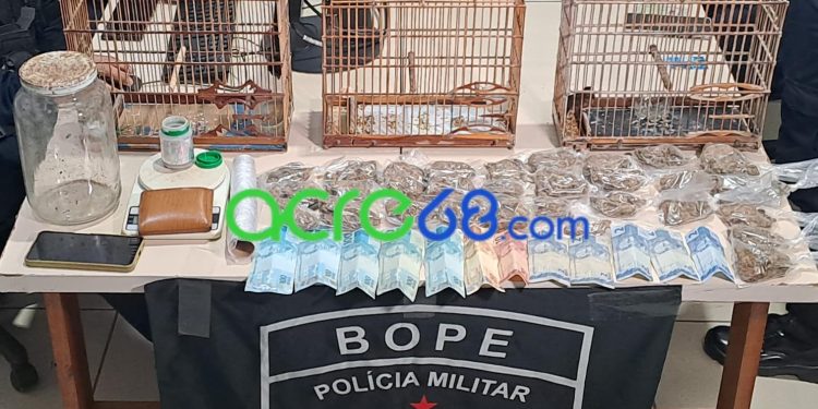Dupla é presa com skank, dinheiro e aves silvestres durante ação policial no Eldorado