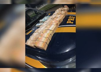 PRF apreende mala com R$ 870 mil em MG; motorista cita ligação com política. Veja vídeo