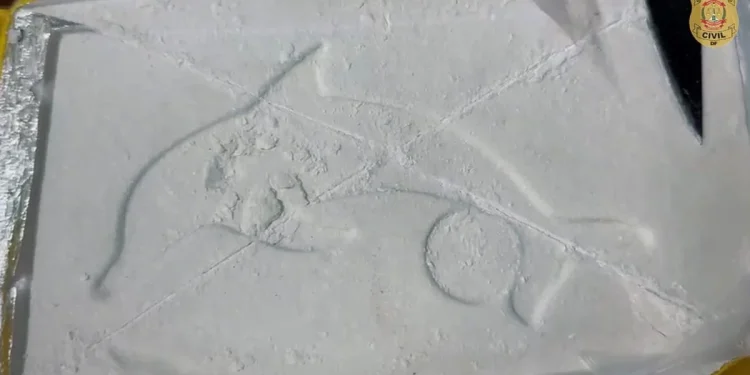 Cocaína do golfinho: do laboratório das Farc na selva colombiana para o DF Cocaína do golfinho: do laboratório das Farc na selva colombiana para o DF