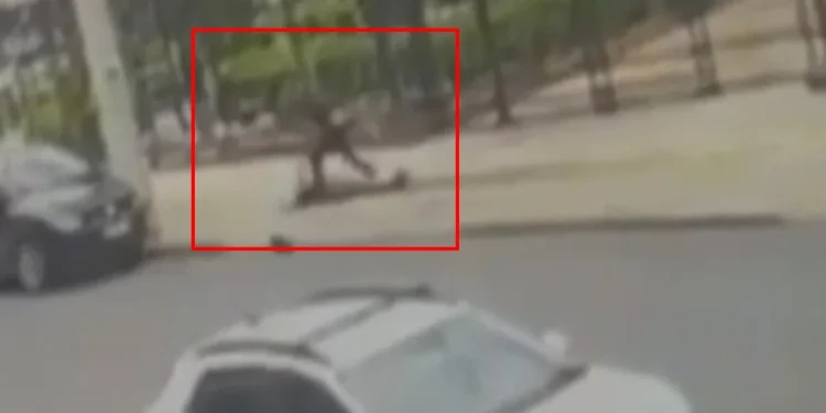 30 segundos de terror: câmera flagra professora da UFG sendo atacada em rua. Veja vídeo